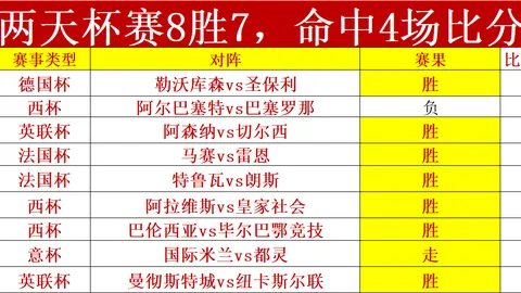 《揭秘德甲奇局：15胜11负背后的神秘开盘之谜》